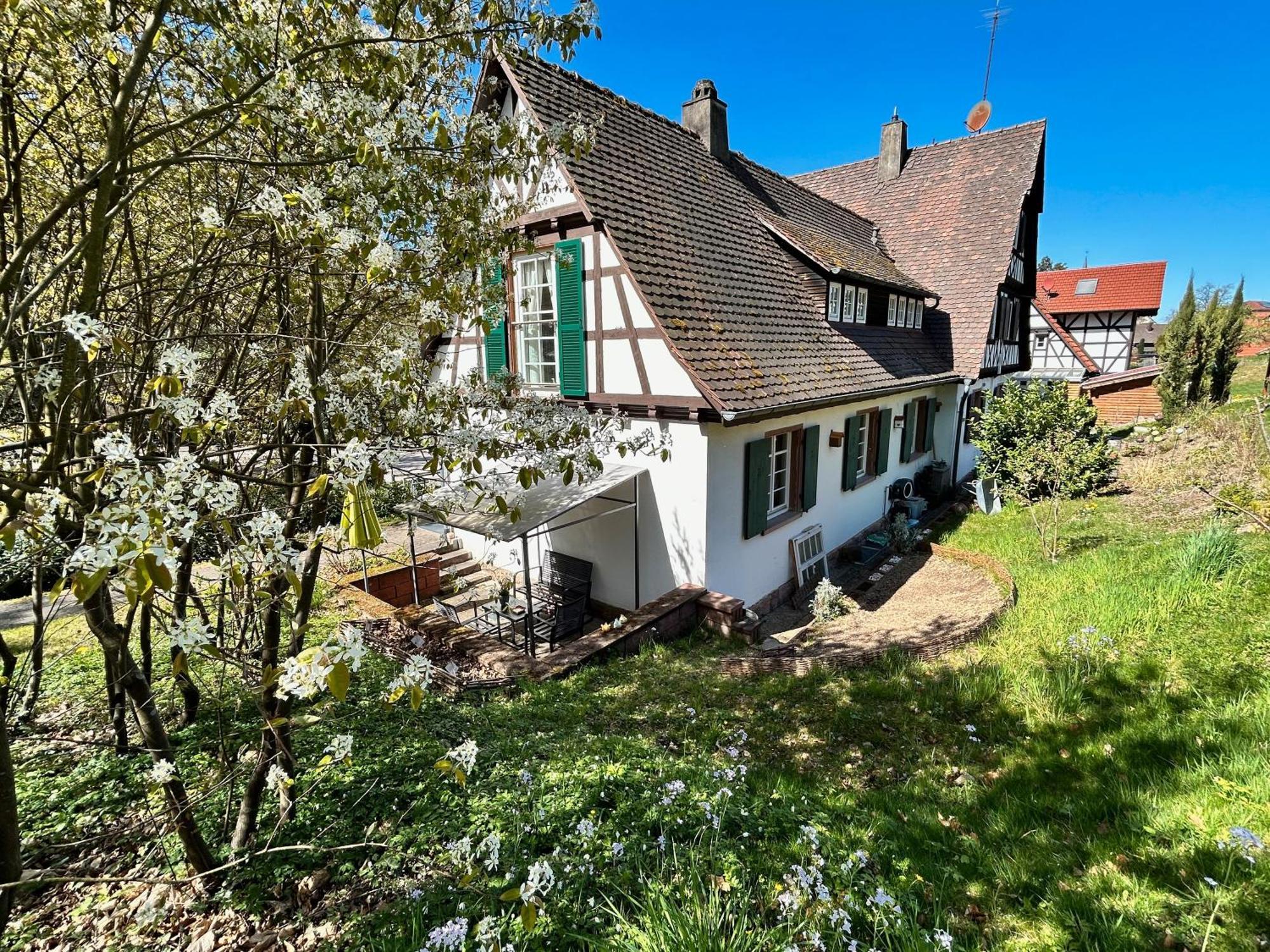 Ferienwohnung Am Keschtebaum, 70Qm Sasbachwalden Exteriér fotografie